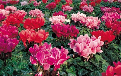 養(yǎng)護(hù)管理主要包括幾個(gè)方面的工作？