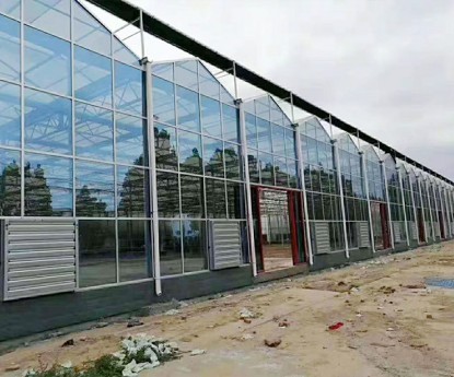 陽(yáng)光板溫室