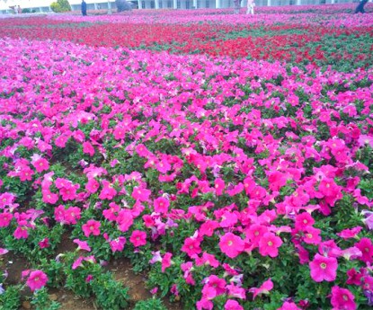 牽?；ɑê?></div>

                <div   id=