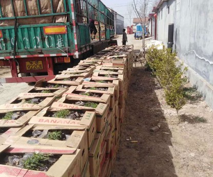 發(fā)貨現(xiàn)場