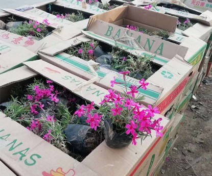 發(fā)貨現(xiàn)場