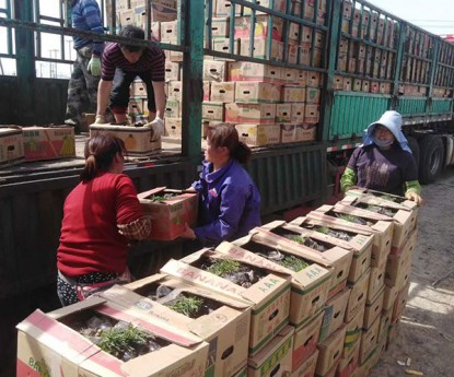 發(fā)貨現(xiàn)場