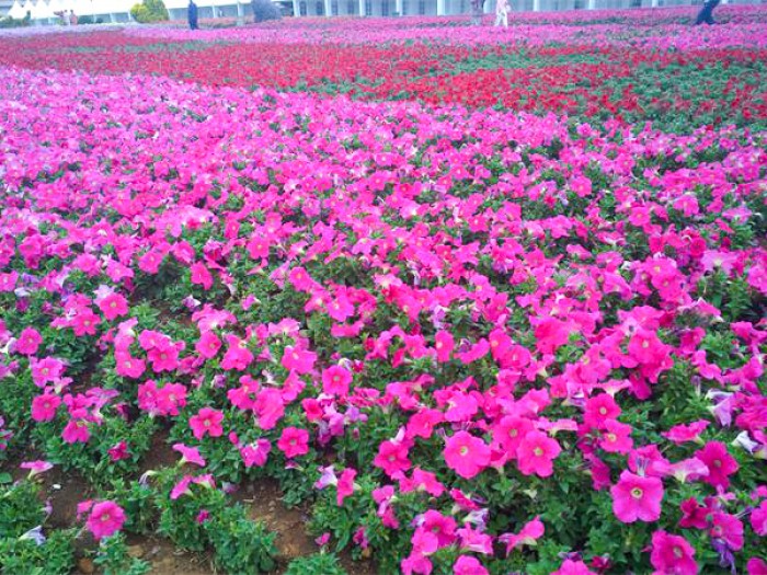 牽?；ɑê? style=